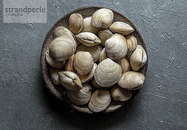 Food  Food  Raw fresh clams in gray plate  gray background