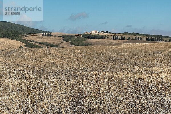 Beautiful view of Tuscany landscape and landmarks. Grapes fields and olive oil. From Montalcino to Montepulciano to Siena. Summer in Italy