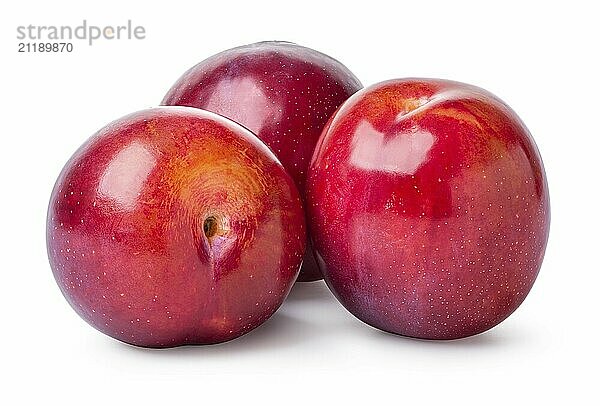 Three fresh sweet plums isolated on a white background