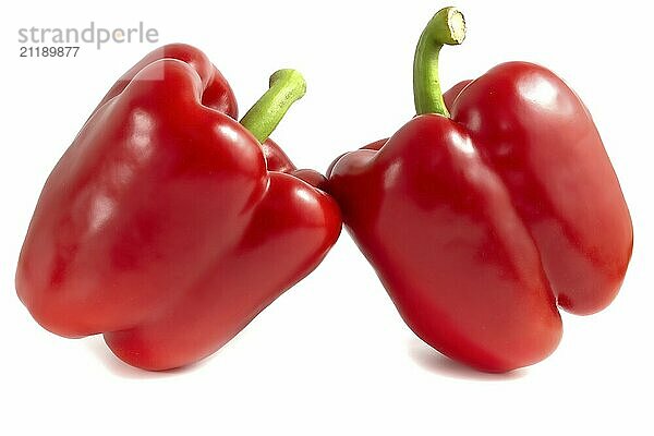 Red paprika isolated on white background. Bell pepper vegetables close up