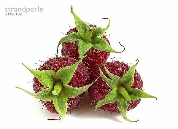 Three raspberries isolated on white background close-up