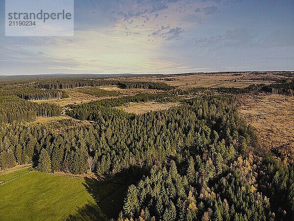 Aerial drone point of view of High Fens Hohes Venn Hautes Fagnes Hoge Venen nature reserve in Belgium. Beauty in nature