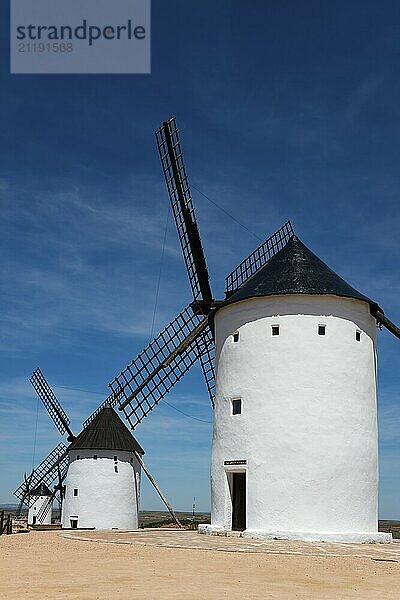 Three white windmills under a deep blue sky in a tranquil rural landscape on a sunny day  Alcazar de San Juan  Ciudad Real  Castilla-La Mancha  Route of Don Quixote  Spain  Europe