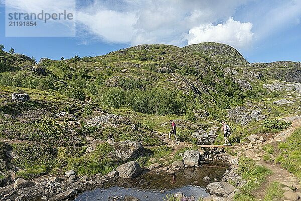 Landscape with the Studalselva mountain stream at Munkebu-stig  Sorvagen  Lofoten  Norway  Europe