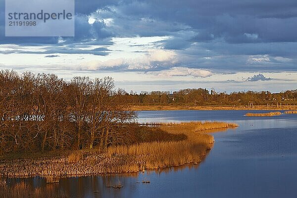 Reflecting river with reed vegetation in the soft light of a dramatic sunset  view of the Randow loop of the River Peene in the evening light  wetland biotope with reeds  Flusslandschaft Peenetal nature park Park  Mecklenburg-Western Pomerania  Germany  Europe