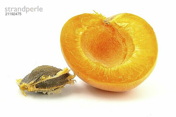 Half of apricot and stone isolated on white background close up