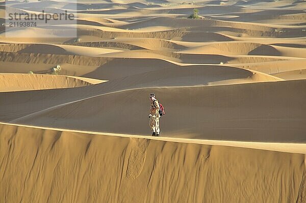 Mann (50-55)  Wüstentrekking  Erg Chebbi  Marokko  Afrika