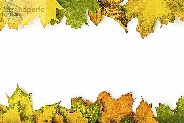 Autumn leaves frame isolated on a white background