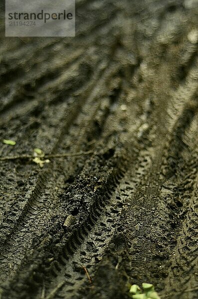 Hintergrund von Mountainbike Tracks im Schlamm mit geringer Tiefenschärfe