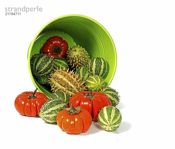 Decoration vegetables in red and green isolated on white