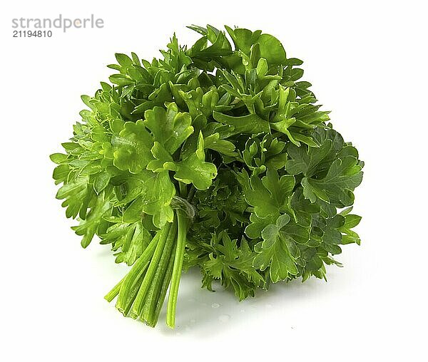 Bunch of fresh green parsley isolated on white background