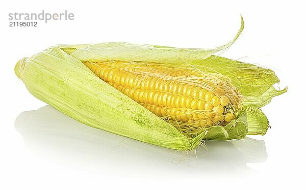 Fresh sweet corn isolated on a white background