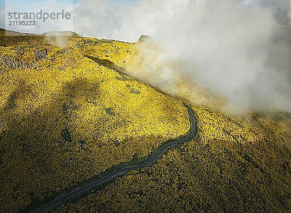 Luftaufnahme einer Straße zwischen gelb blühenden Cytisus Sträuchern in der Nähe von Pico do Arieiro  Portugal in Wolken