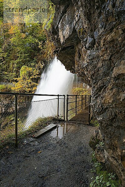 Blick von einem Felsenpfad auf einen Wasserfall  umgeben von herbstlichem Laub  Brienzer See  Giessbacher Wasserfall  Schweiz  Europa