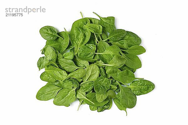 A pile of fresh spinach leaves on a clean white background  ready for use in salads  smoothies  or various cooking dishes  emphasising healthy eating and nutrition