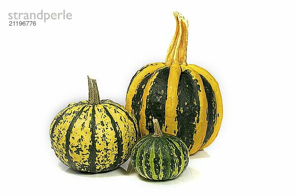 Decoration vegetables in red and green isolated on white