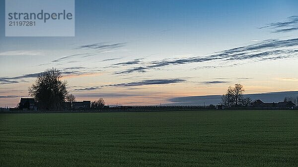 Blick über Bäume und Wiesen in der belgischen Landschaft bei Sonnenuntergang