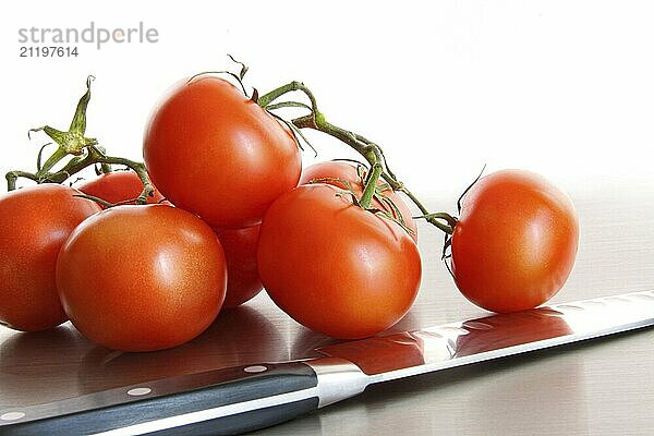 Fresh ripe tomatoes on stainless steel counter with white background