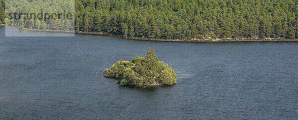 Loch at Eilein Castle  loch with island with castle ruins  drone shot  Rothiemurchus  Cairngorms National Park  Scotland  Great Britain