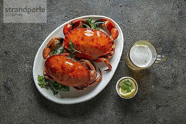 Food  Whole cooked crabs on white plate with lemon and beer. Gray concrete background. Top view