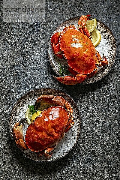 Food  Food  Whole cooked crabs on white plate with lemon and beer. Gray concrete background. Top view