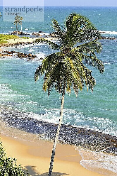 Beautiful tropical beach landscape with palm  indian ocean