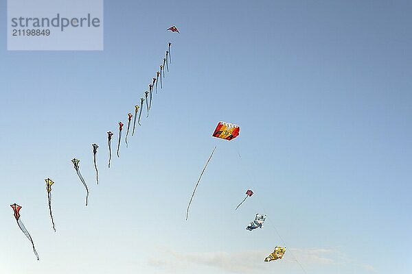 Many colourful wind birds in the blue sky  Drachenwiese  Norddeich  North Sea  Lower Saxony  Germany  Europe