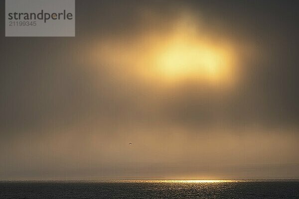 Sun breaking through clouds  reflection on sea surface  Woodfjord  Spitsbergen archipelago  Svalbard and Jan Mayen  Norway  Europe