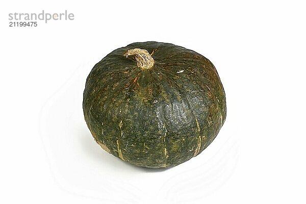 Green squash on white background