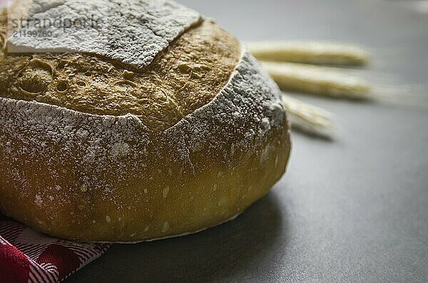 Beautiful Sourdough bread on gray background with dried wheat flower