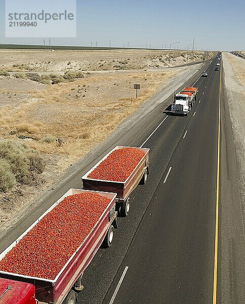 Loads of produce travel via trucks down California Highways