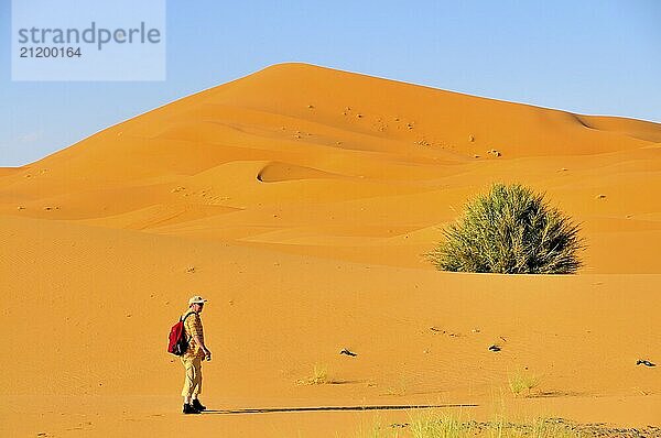 Mann (50-55)  Wüstentrekking  Erg Chebbi  Marokko  Afrika