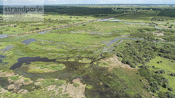 Aerial view of wonderful Pantanal Wetlands landscape with Transpantaneira road and water birds  Mato Grosso  Brazil  South America