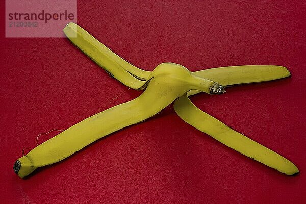 Yellow banana skin on a red background. Concept for warning of slippery surfaces and danger of slipping. Close-up