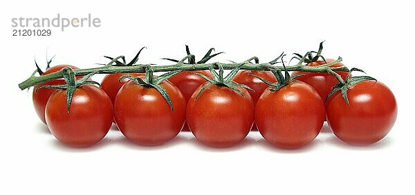 Cherry tomatoes on stem isolated on white