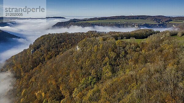 Thick fog fills a valley framed by an autumnal forest