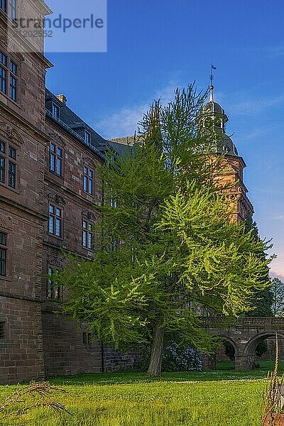 View of Johannisburg Castle in Aschaffenburg  Germany  Europe