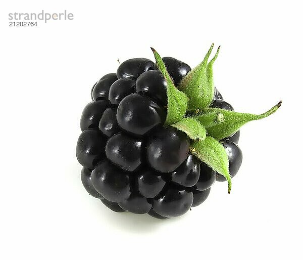 Blackberries isolated on white background. Black berry with green leaves