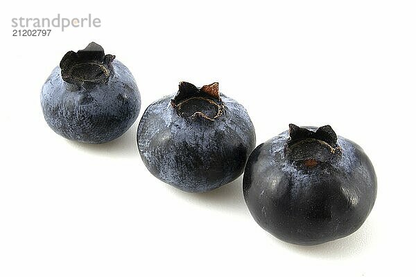 Three blueberries isolated on white background