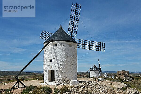 Several white windmills under a clear sky in a wide  sunny landscape  Consuegra  Toledo  Castilla-La Mancha  Route of Don Quixote  Spain  Europe