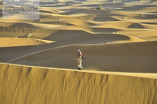 Mann (50-55)  Wüstentrekking  Erg Chebbi  Marokko  Afrika