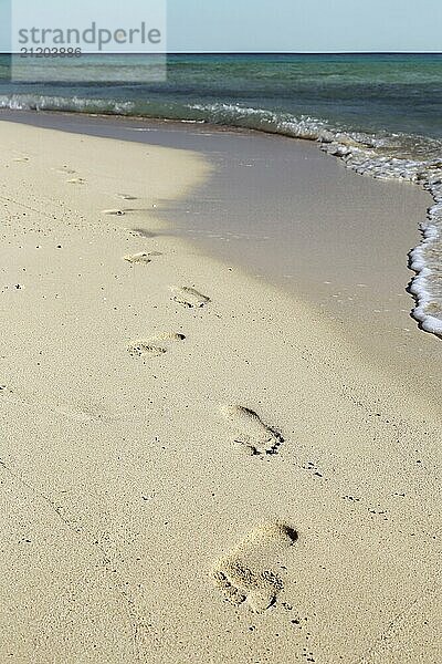 Footprints on white sand beach along the edge of sea