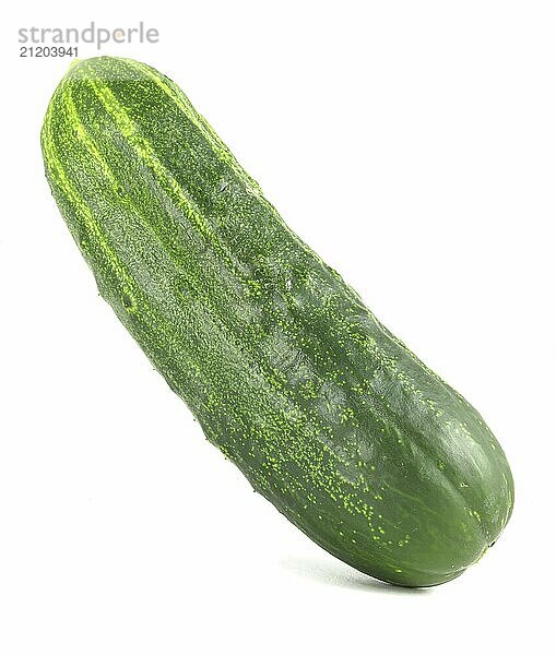 Prickly cucumber isolated on white background