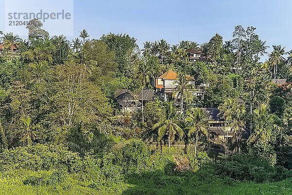 Blick auf den Dschungel und die Villen bei Sonnenuntergang vom Campuhan Ridge Walk in Ubud  Bali  Indonesien  Asien