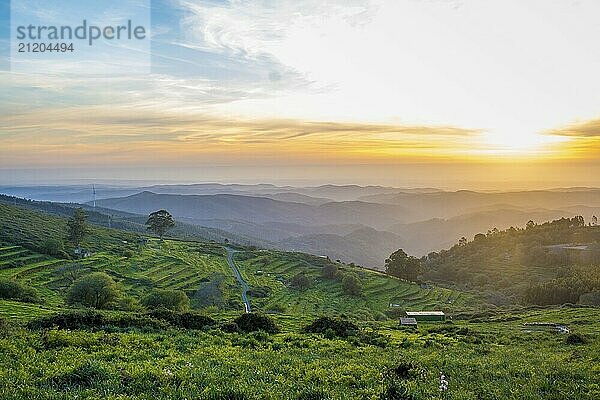 Sunset view in a valley with terraced fields around mount Foia on Monchique  Portugal  Europe