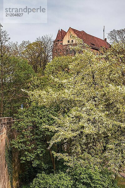 View of Nuremberg Castle  Germany  Europe