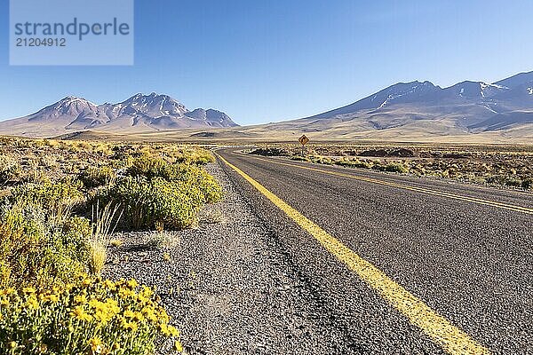 Atacama Wüste  Chile  Anden  Südamerika. Schöne Aussicht und Landschaft  Südamerika