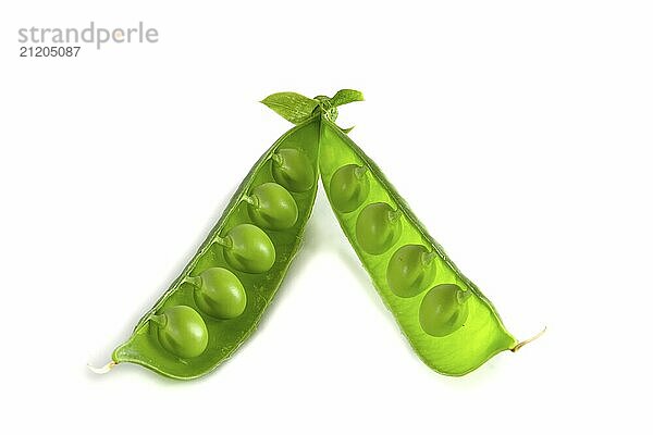 Pea beans in an open pod isolated on white background