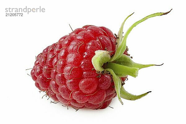 Raspberry berry isolated on white background