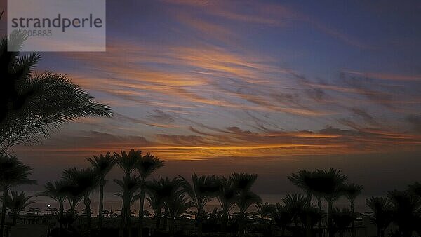 Schöne Landschaft mit Palmen am Strand des Resorts und Sonnenaufgang über dem Meer